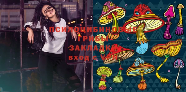 гидра Козельск
