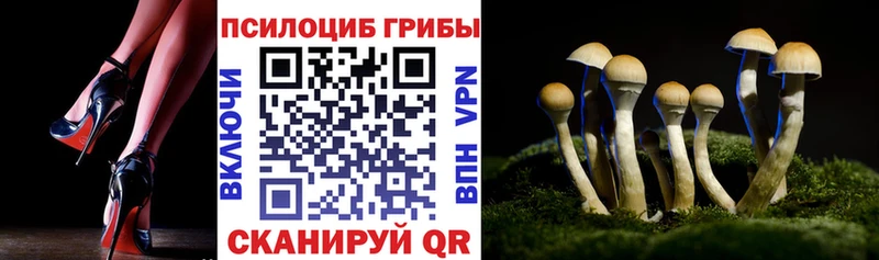 Псилоцибиновые грибы GOLDEN TEACHER  Купить  Пионерский 