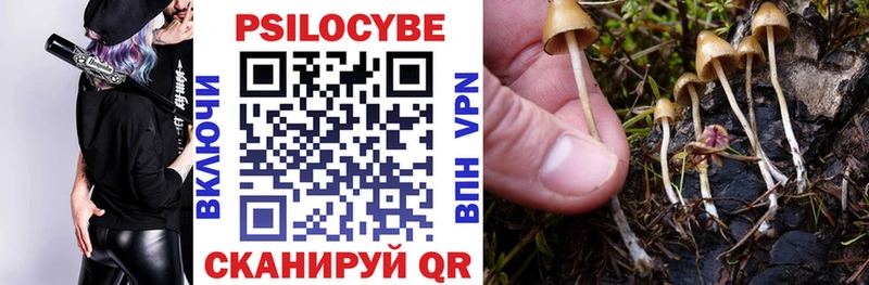 Галлюциногенные грибы Cubensis Пионерский